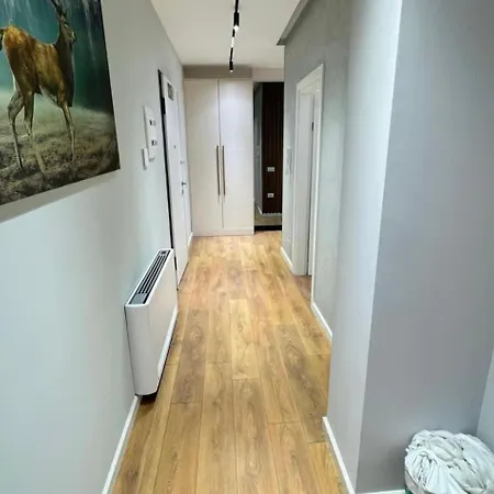Apartment In Blanc Tirana